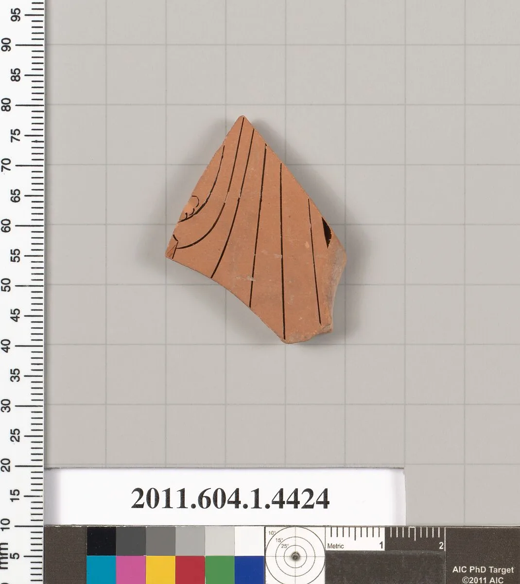 Terracotta fragment of a kylix (drinking cup) — Unknown
