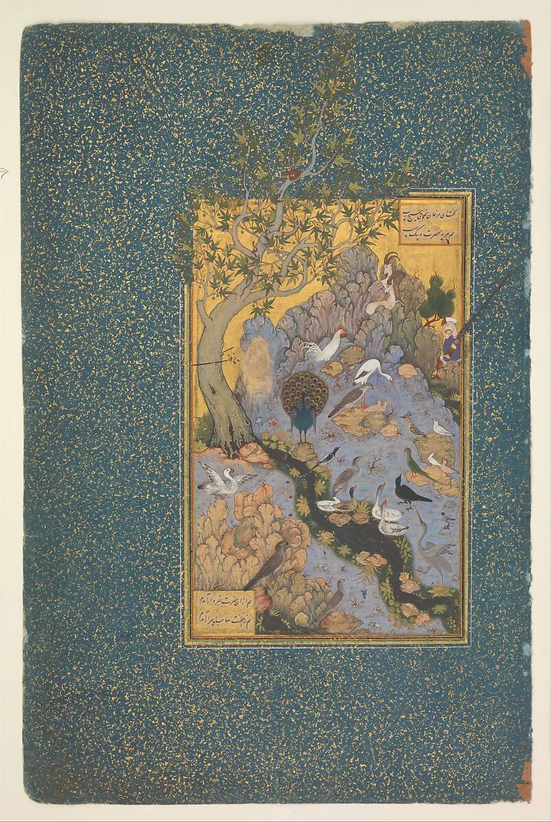 "The Concourse of the Birds", Folio 11r from a Mantiq al-Tayr (Language of the Birds) — Farid al-Din `Attar|Habiballah of Sava
