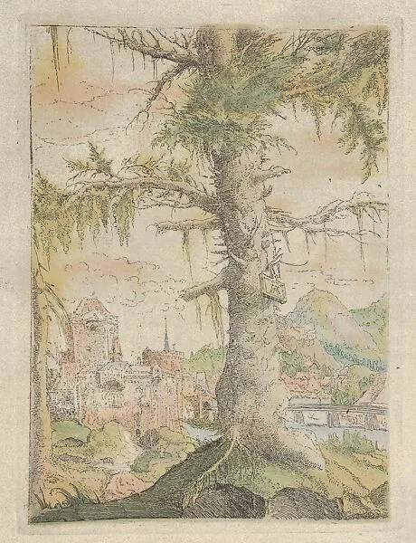 Facsimile Reproduction of The Small Spruce — Albrecht Altdorfer|Alfred Stix|Artur Wolf