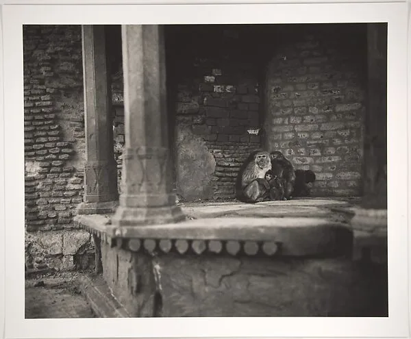 Dawn Along the Yamuna, Vrindavan, India — Fazal Sheikh