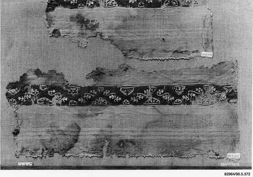 Fragment of a Tunic