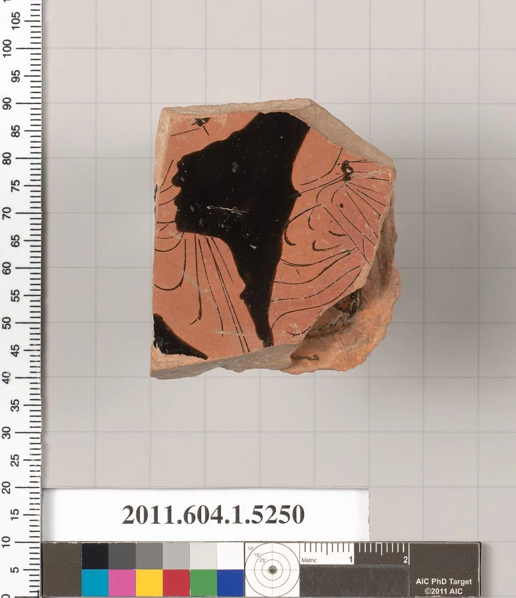 Terracotta fragment of a kylix (drinking cup) — Unknown