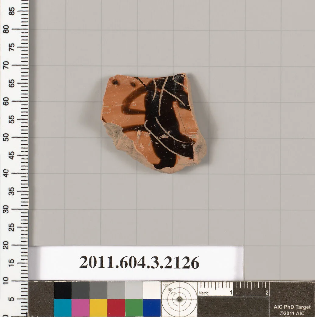 Terracotta rim fragment of a kylix (drinking cup) — Unknown