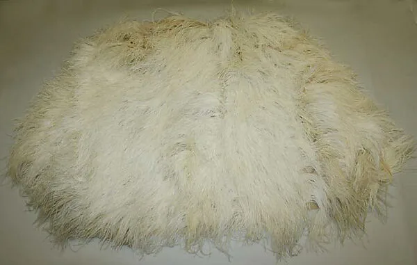 Evening cape — Unknown