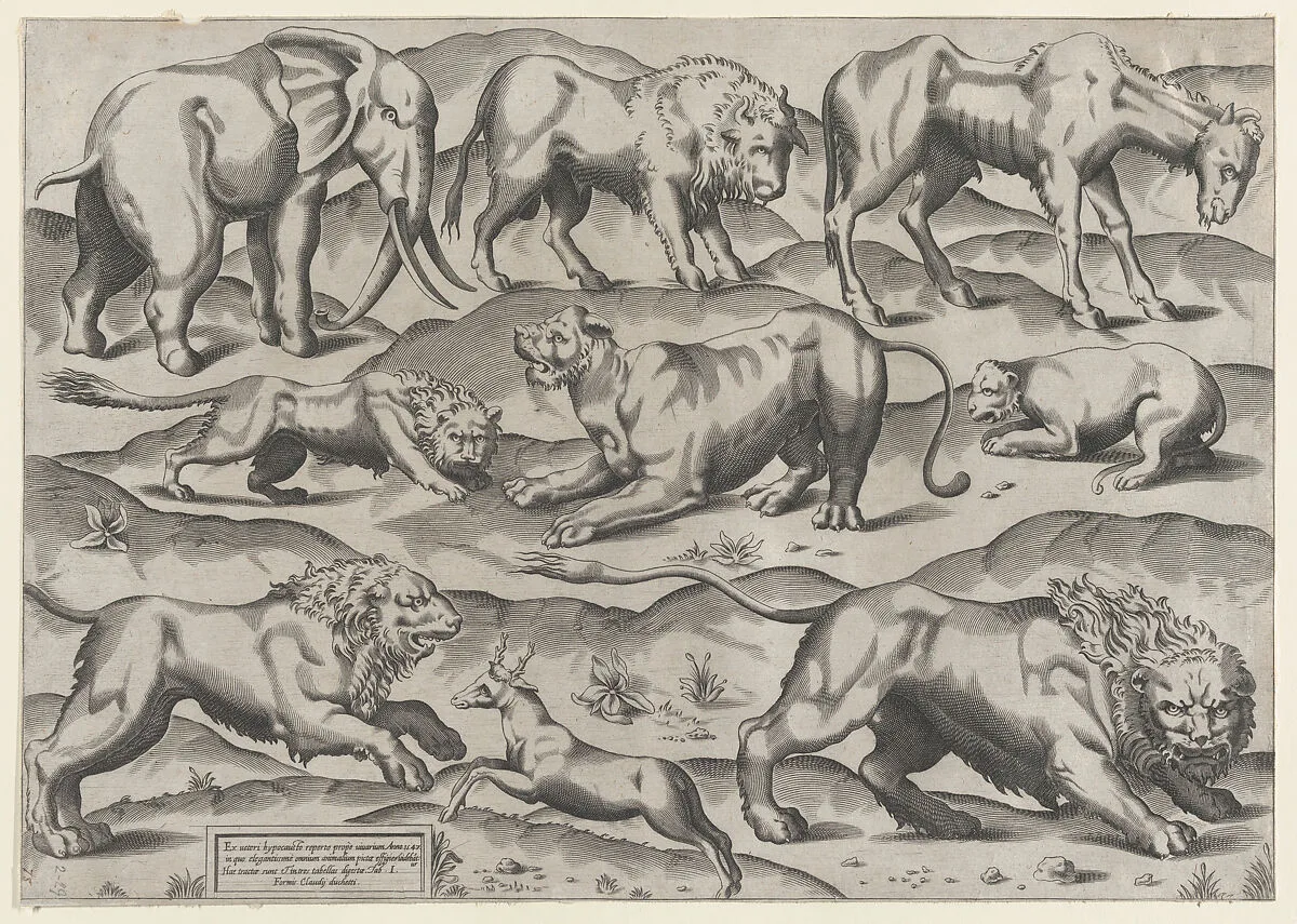 Speculum Romanae Magnificentiae: Wild Animals, from antique wall paintings, plate 1 — Antonio Lafreri|Anonymous|Claudio Duchetti