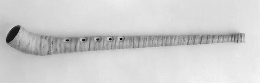 Paimentorvea (herder's horn)