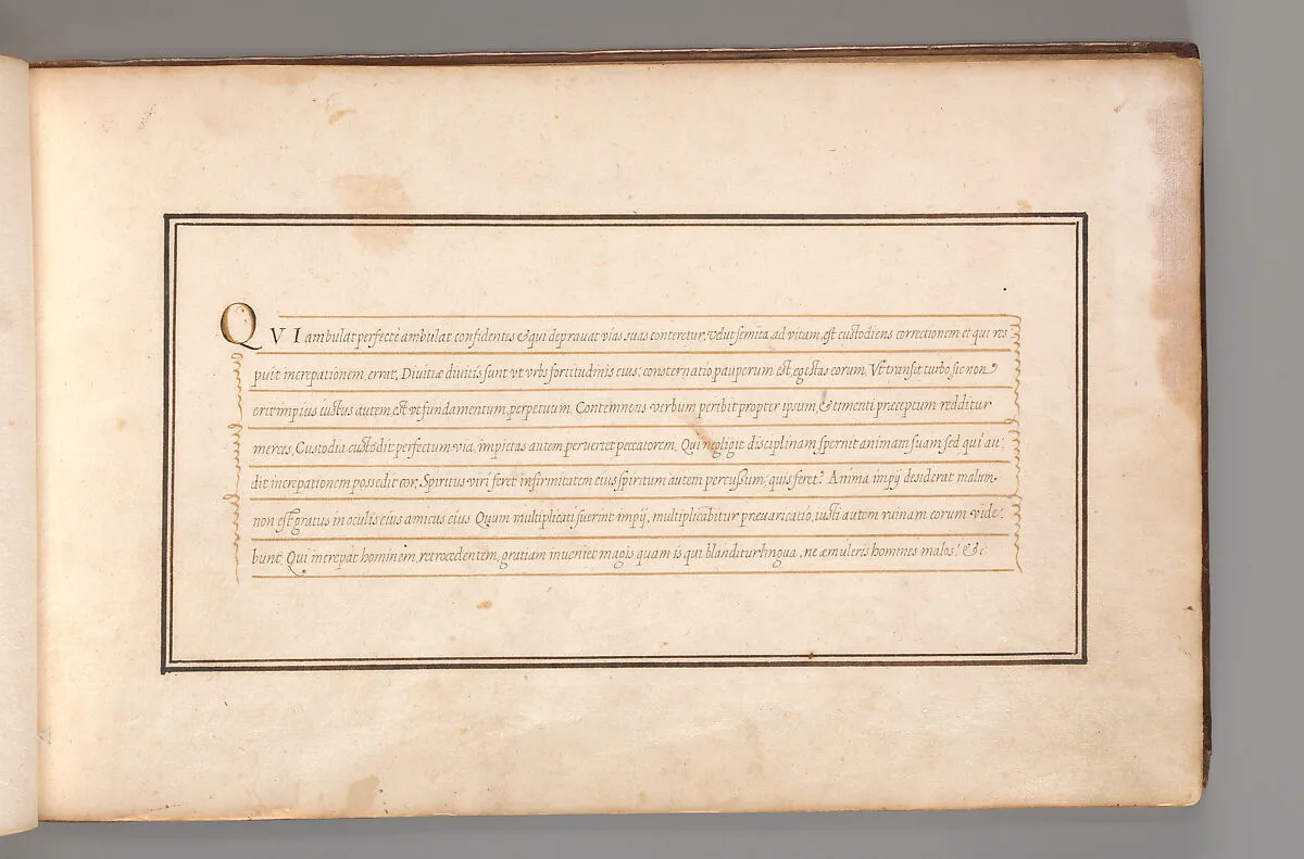 Calligraphic Exercise in Latin (Cursive Script) — Anonymous