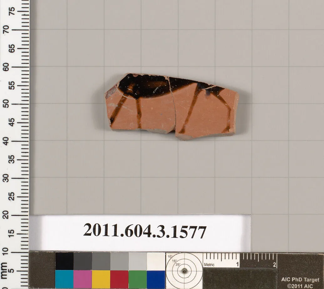 Terracotta fragment of a kylix: Band cup (drinking cup) — Unknown