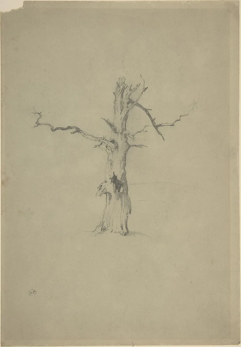 Study of a Dead Tree — Myles Birket Foster