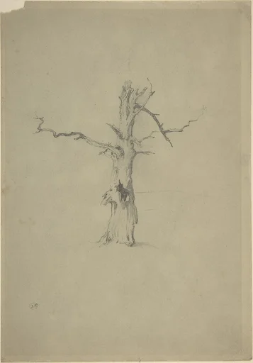 Study of a Dead Tree