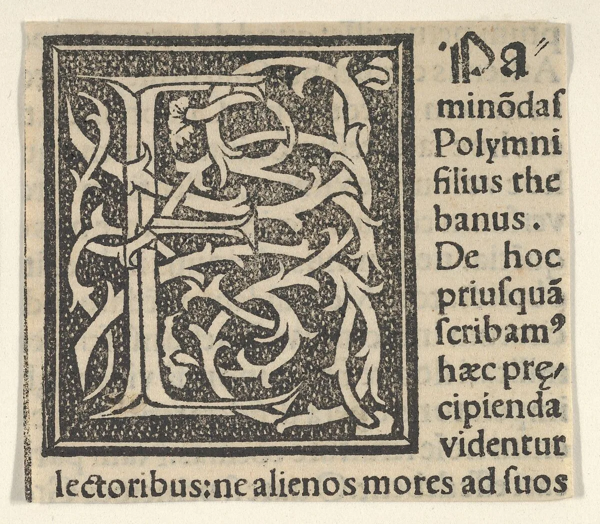 Initial letter E on patterned background — Anonymous, Italian, 16th century
