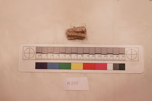 Stucco Fragment