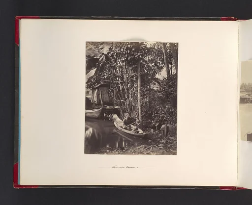 Siamese Canoe