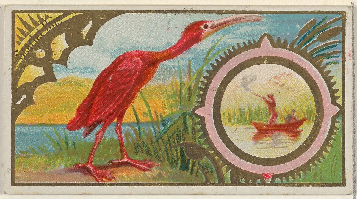 Scarlet Ibis, from the Game Birds series (N13) for Allen & Ginter Cigarettes Brands — George S. Harris & Sons|Allen & Ginter