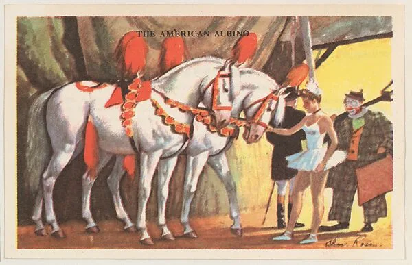 The American Albino, bakery card from the Horses series (D39-5), issued by the Gordon Bread Company — Gordon Bread Company