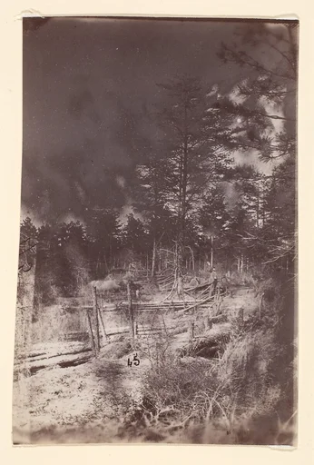 [The Wilderness Battlefield]