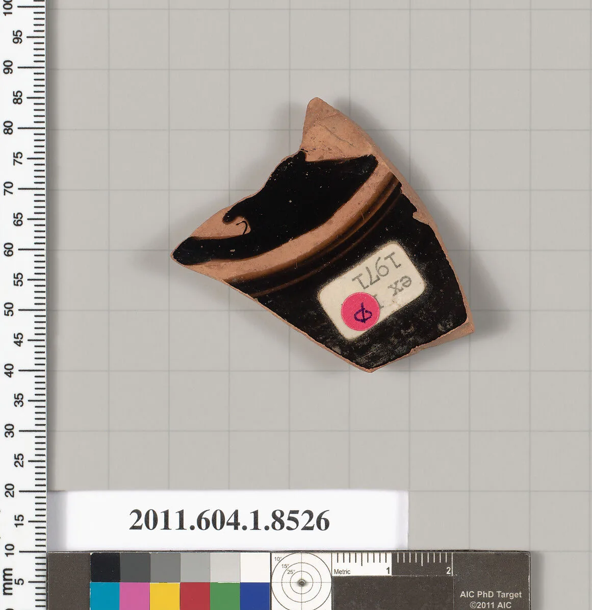 Terracotta fragment of a stemless kylix (drinking cup) — Unknown