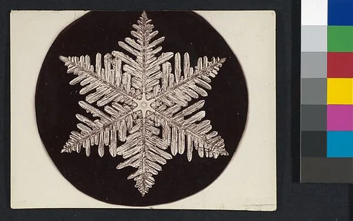 [Snow Crystal]