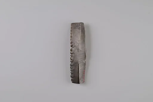 Sickle Insert