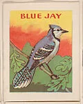 Blue Jay from Eggers Bird Booklets (W607) — Unknown
