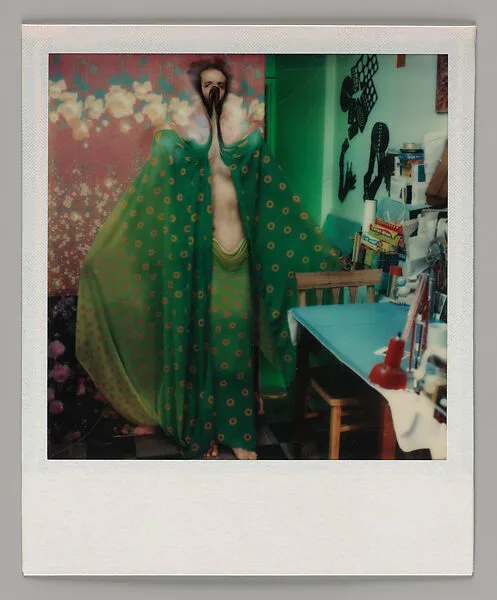 Photo-Transformation — Lucas Samaras