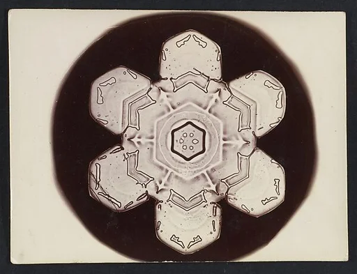 [Snow Crystal]