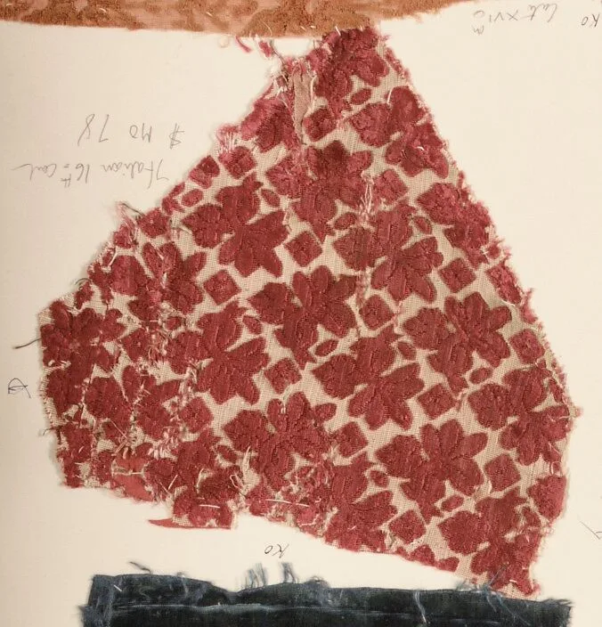 Fragment — Unknown
