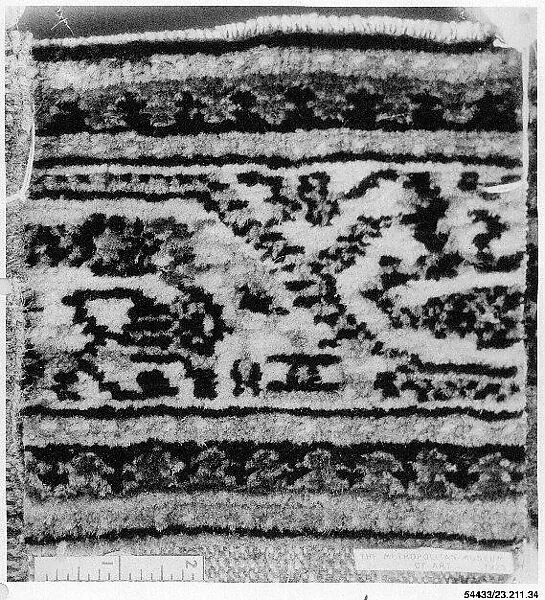 Carpet Fragment — Unknown