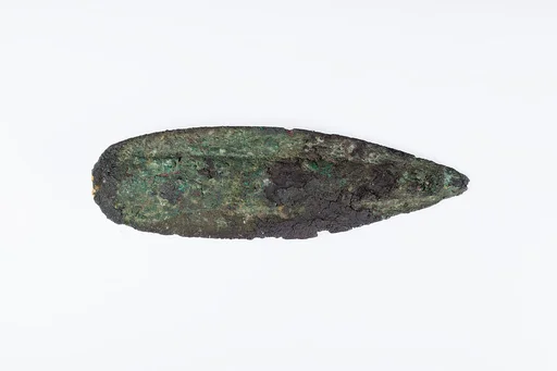 Head and part of the shaft of a spear