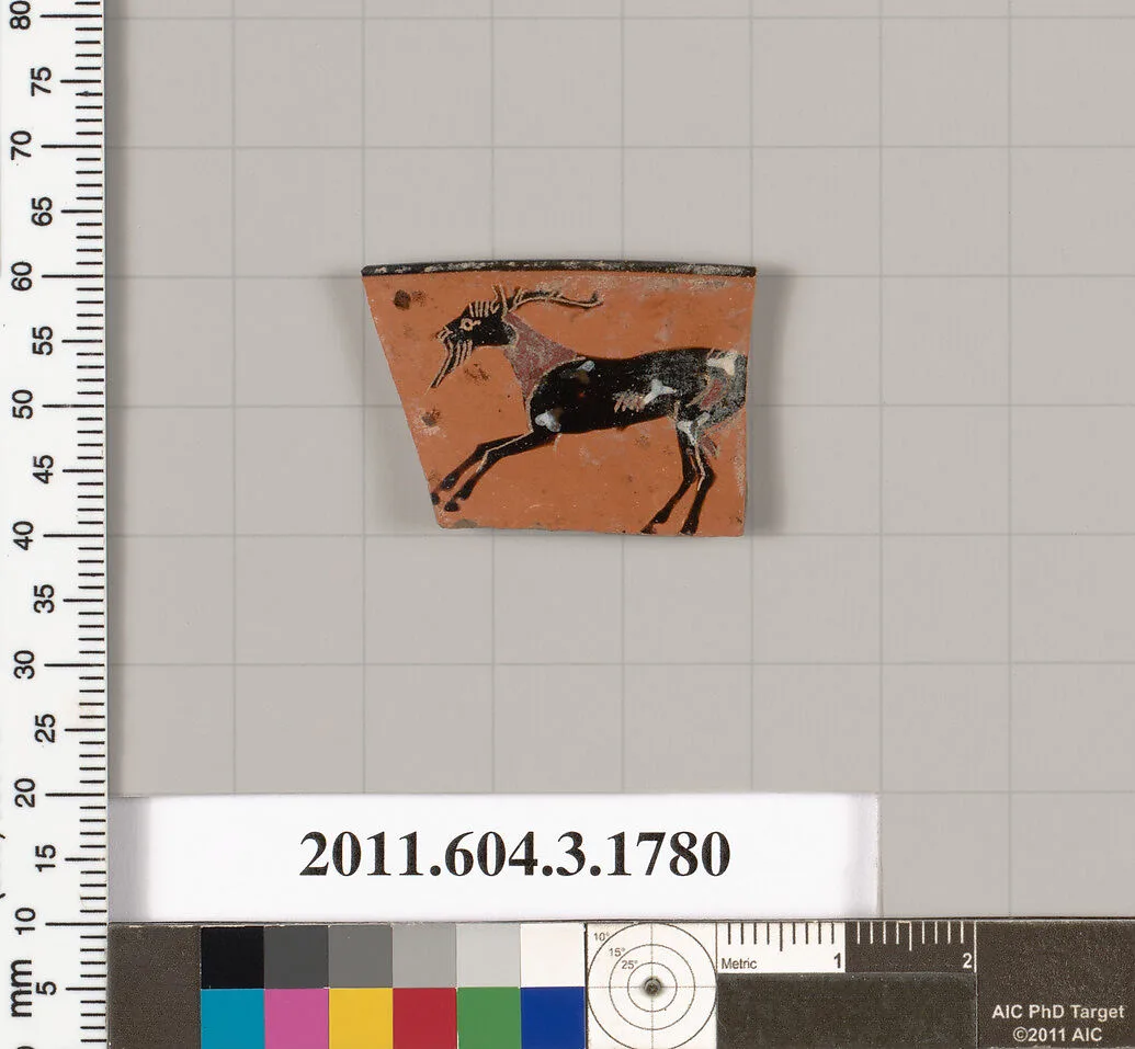 Terracotta rim fragment of a kylix: Lip cup (drinking cup) — Unknown
