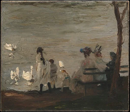 Swans in Central Park