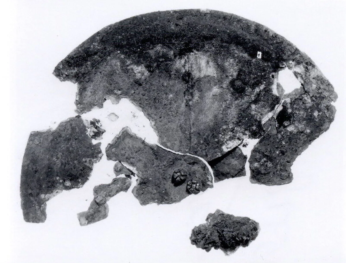Fragmentary disc — Unknown