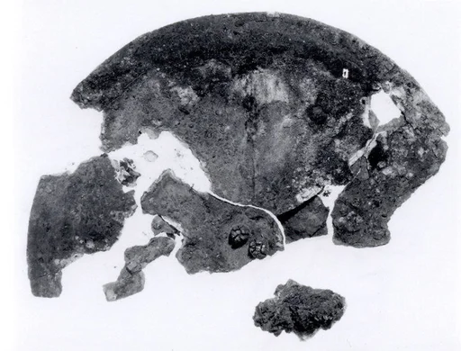 Fragmentary disc