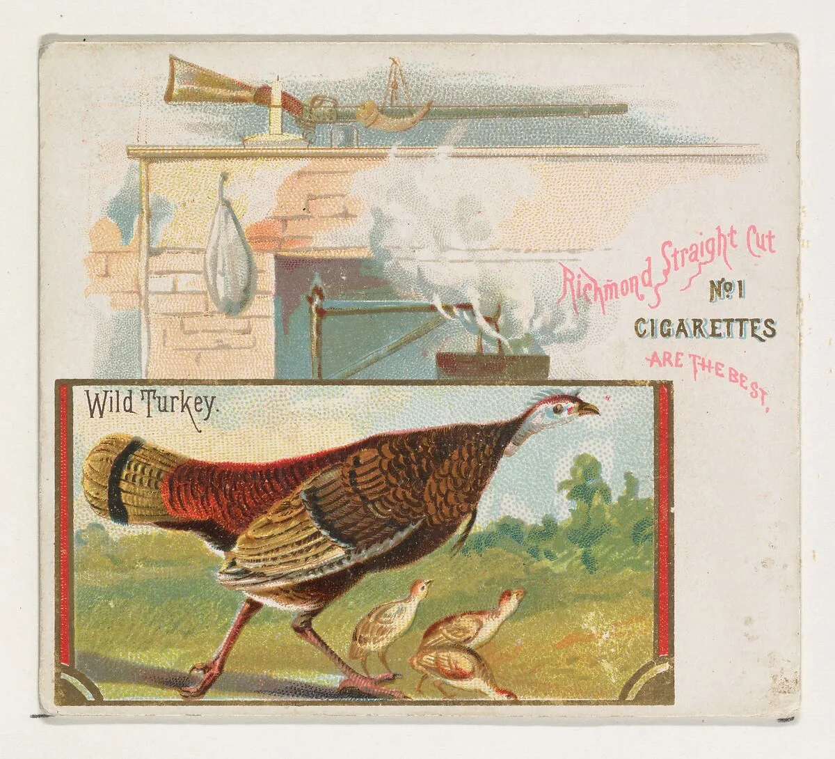 Wild Turkey, from the Game Birds series (N40) for Allen & Ginter Cigarettes — Allen & Ginter