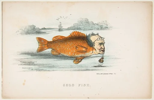 Gold Fish (Francis M. Drexel), from The Comic Natural History of the Human Race
