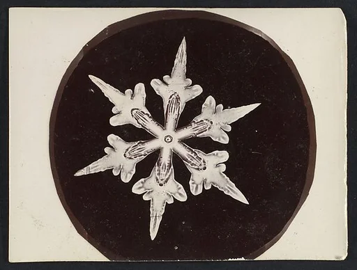 [Snow Crystal]