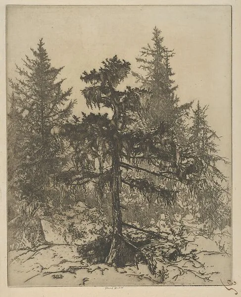 Moss Bride — Ernest Haskell