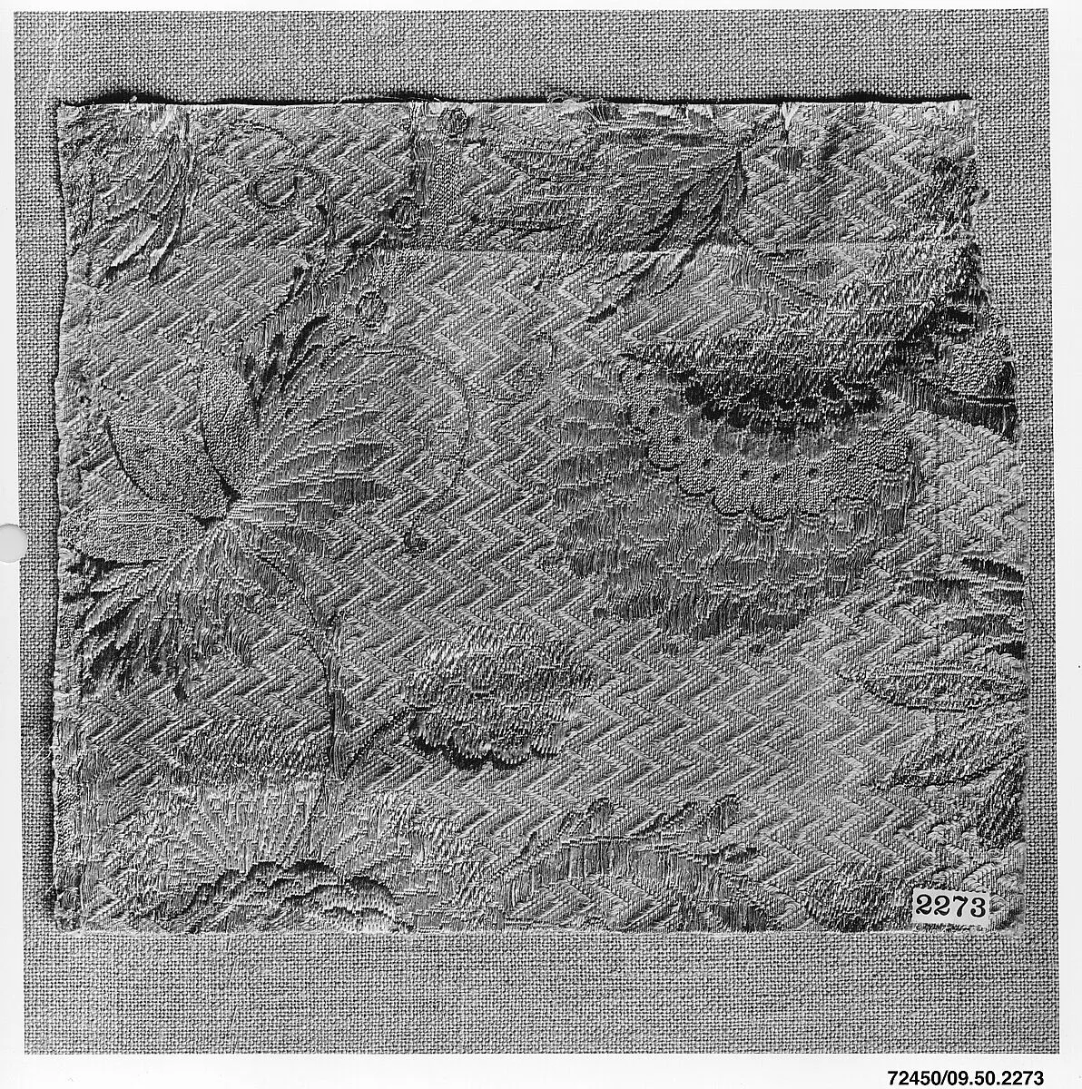 Brocade — Unknown