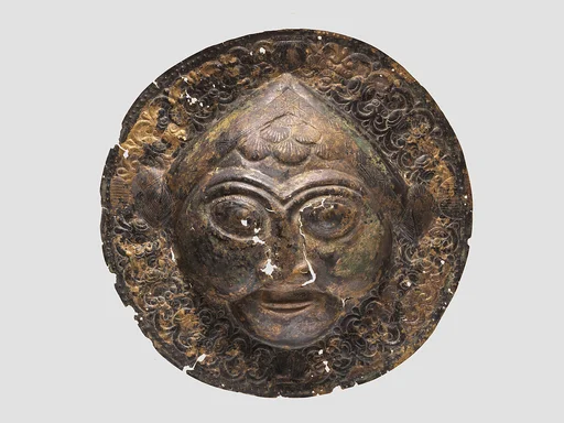 Disc plaque
