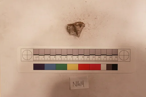 Stucco Fragment