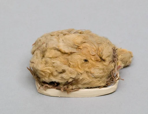 Ball of wool