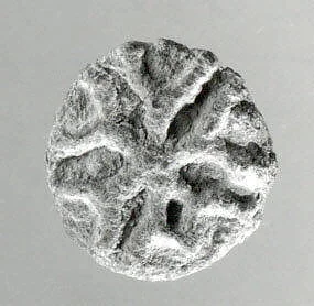 Stamp seal