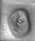 Seal with head of an antelope