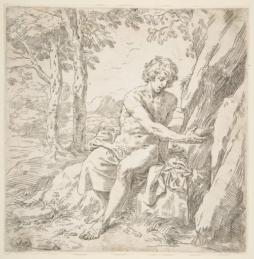 Saint John the Baptist in the desert