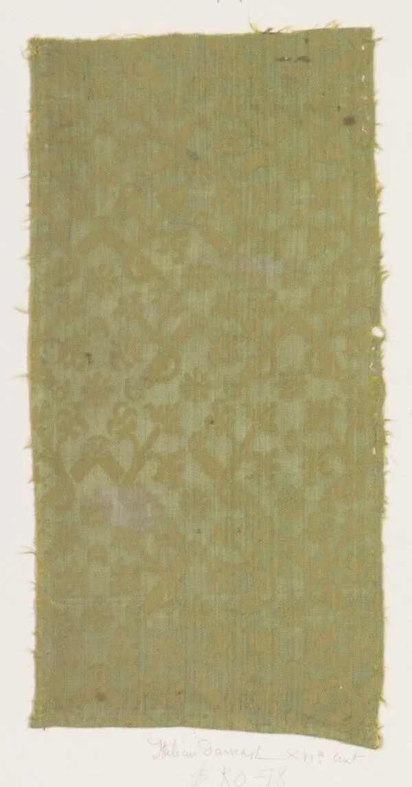 Fragment — Unknown