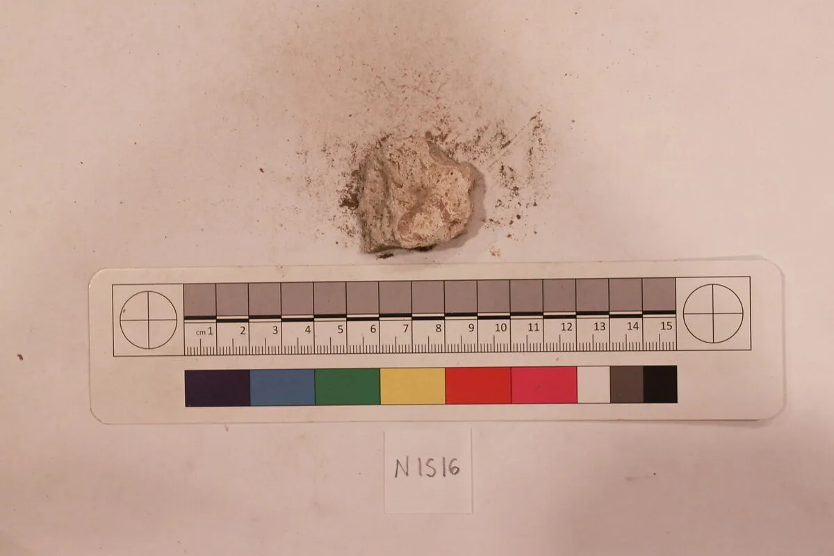 Stucco Fragment — Unknown