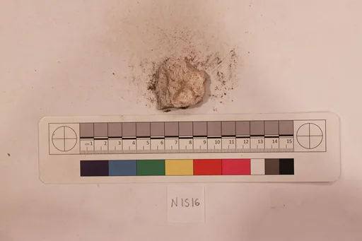 Stucco Fragment