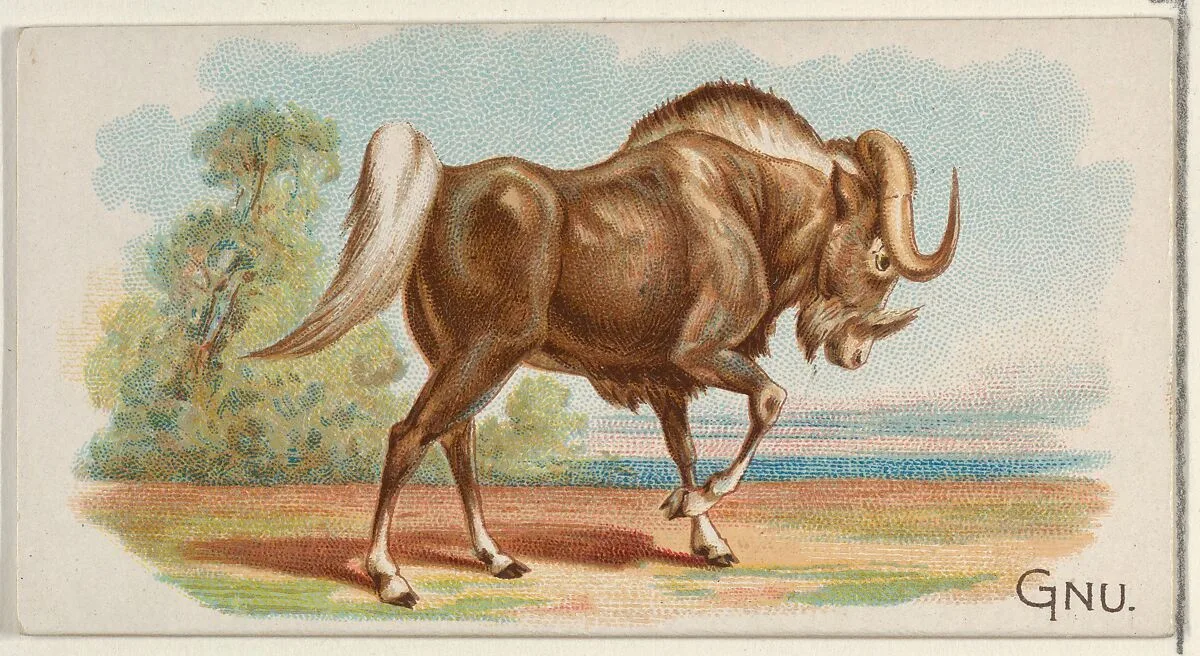Gnu, from the Quadrupeds series (N21) for Allen & Ginter Cigarettes — Allen & Ginter|Lindner, Eddy & Claus