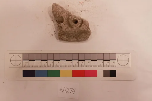 Stucco Fragment