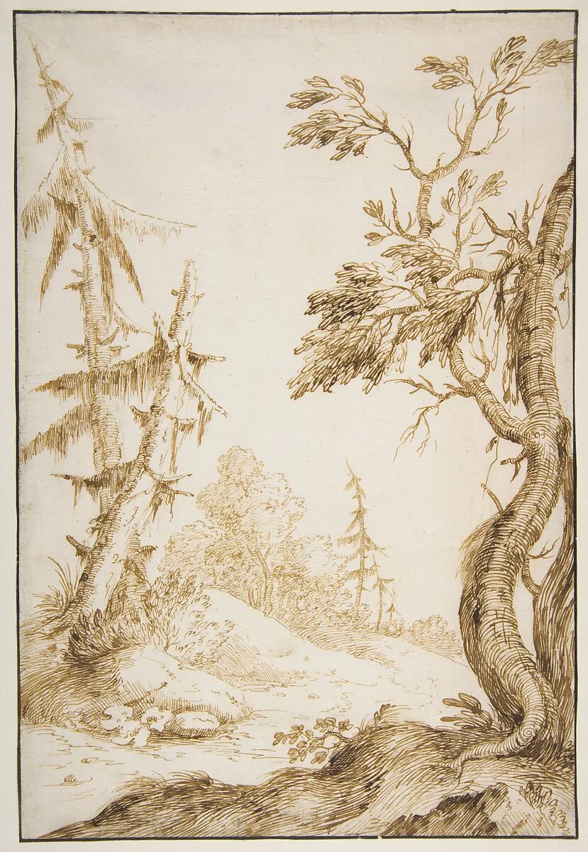 Clearing in a Wooded Landscape — Marco Ricci